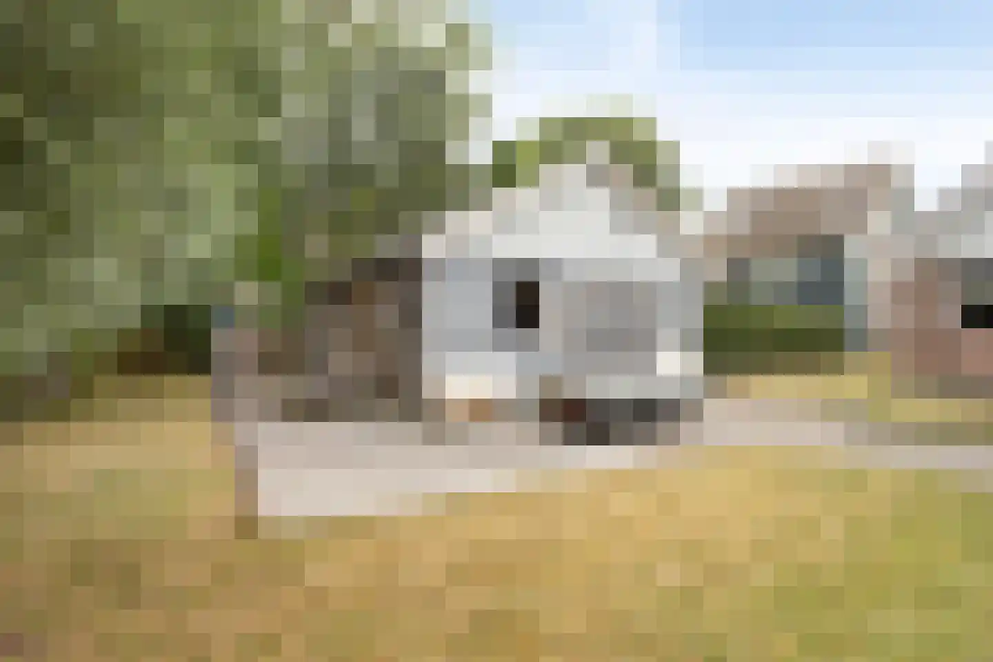 Schardam 24 a Schardam thumbnail 44
