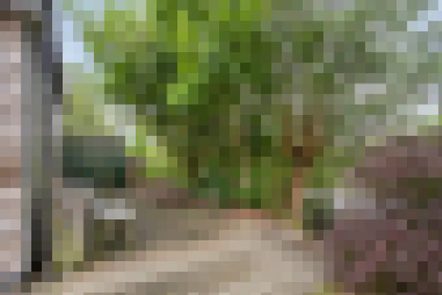 Schardam 24 a Schardam thumbnail 49