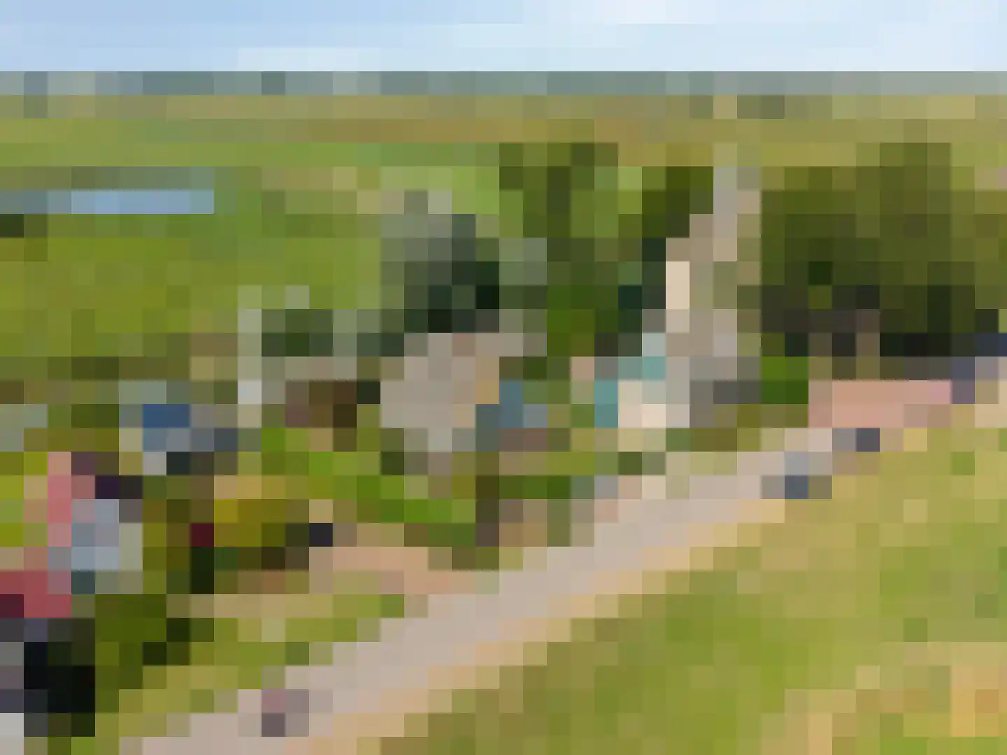Schardam 24 a Schardam thumbnail 53