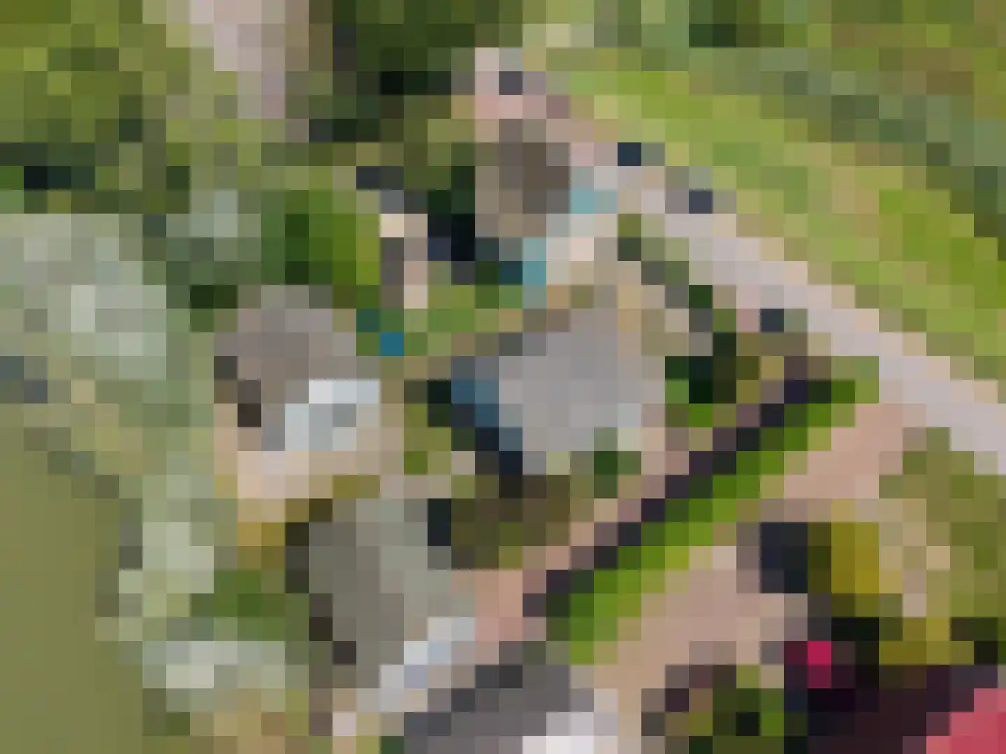 Schardam 24 a Schardam thumbnail 55