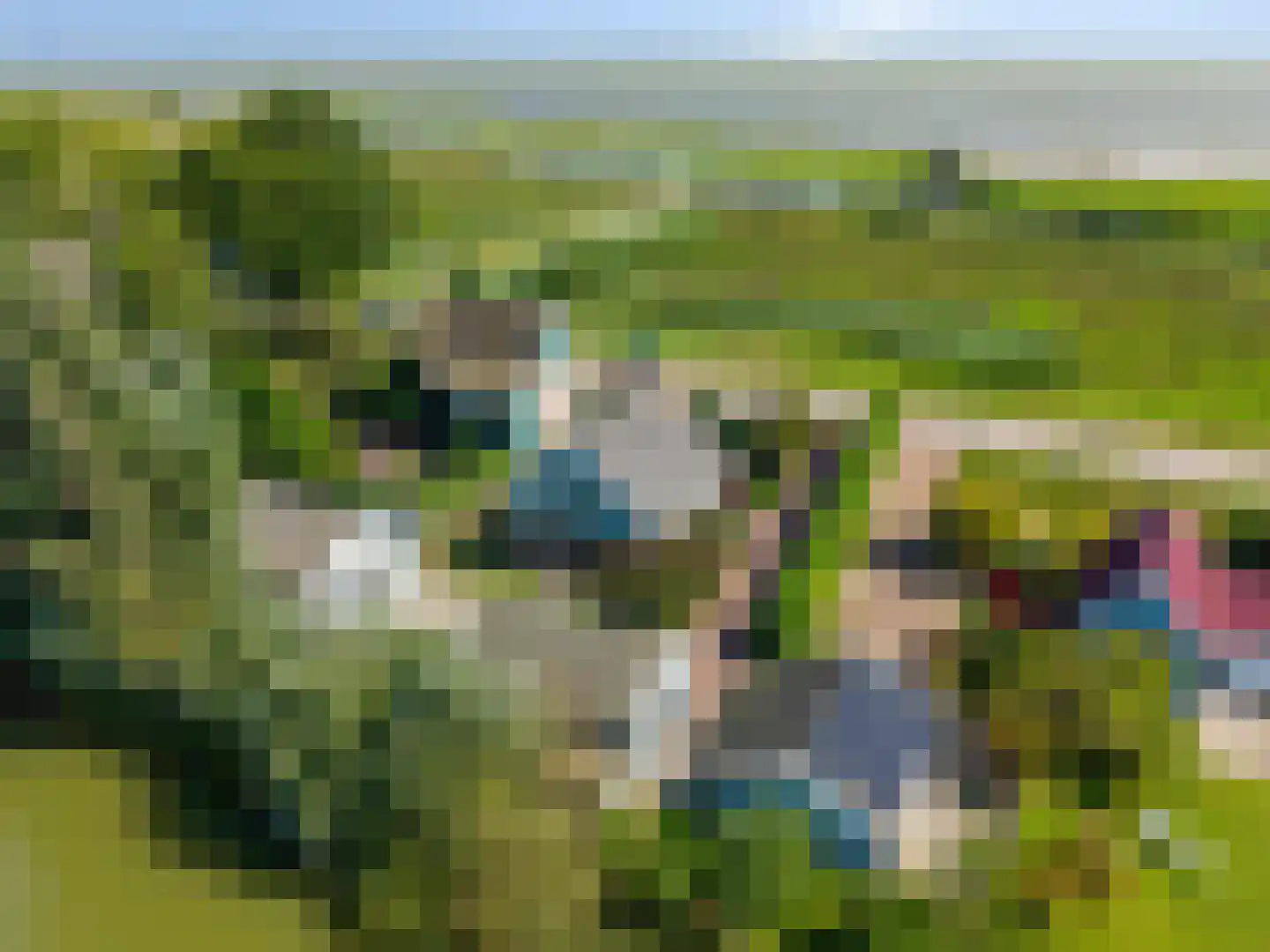 Schardam 24 a Schardam thumbnail 56