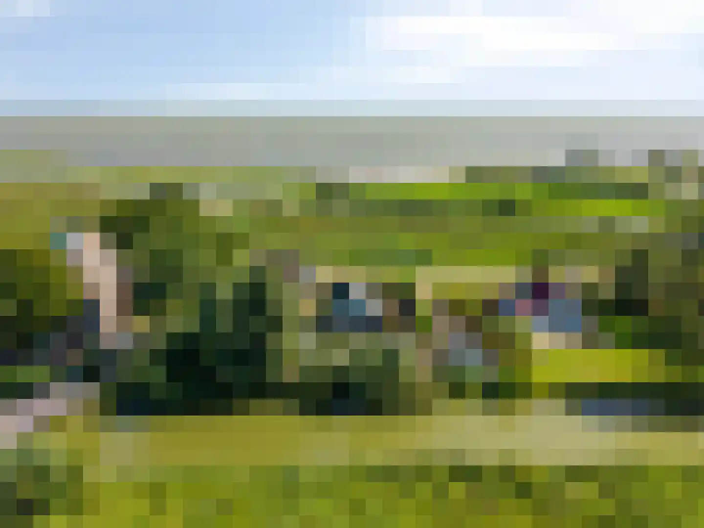Schardam 24 a Schardam thumbnail 57