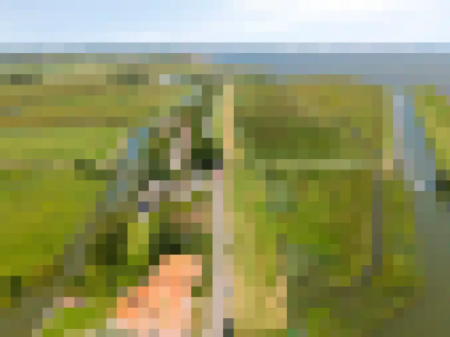 Schardam 24 a Schardam thumbnail 58