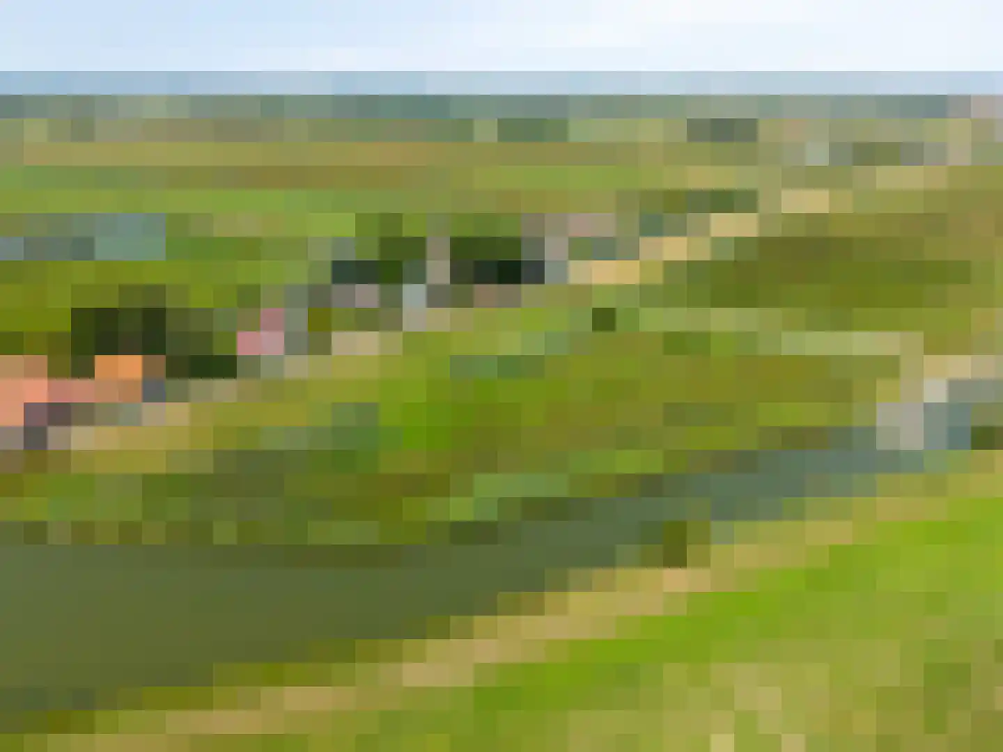Schardam 24 a Schardam thumbnail 60