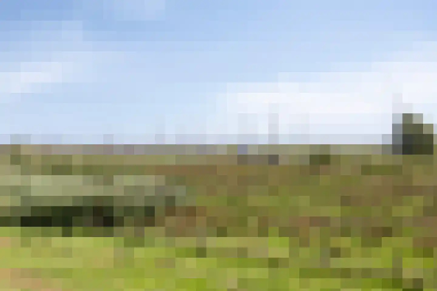 Schardam 24 a Schardam thumbnail 61