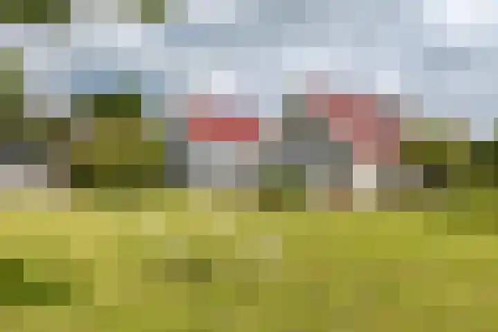 Schardam 24 Schardam
