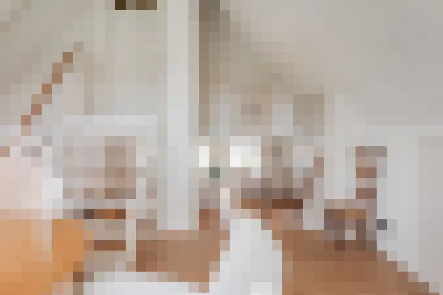 Schardam 24 Schardam thumbnail 14