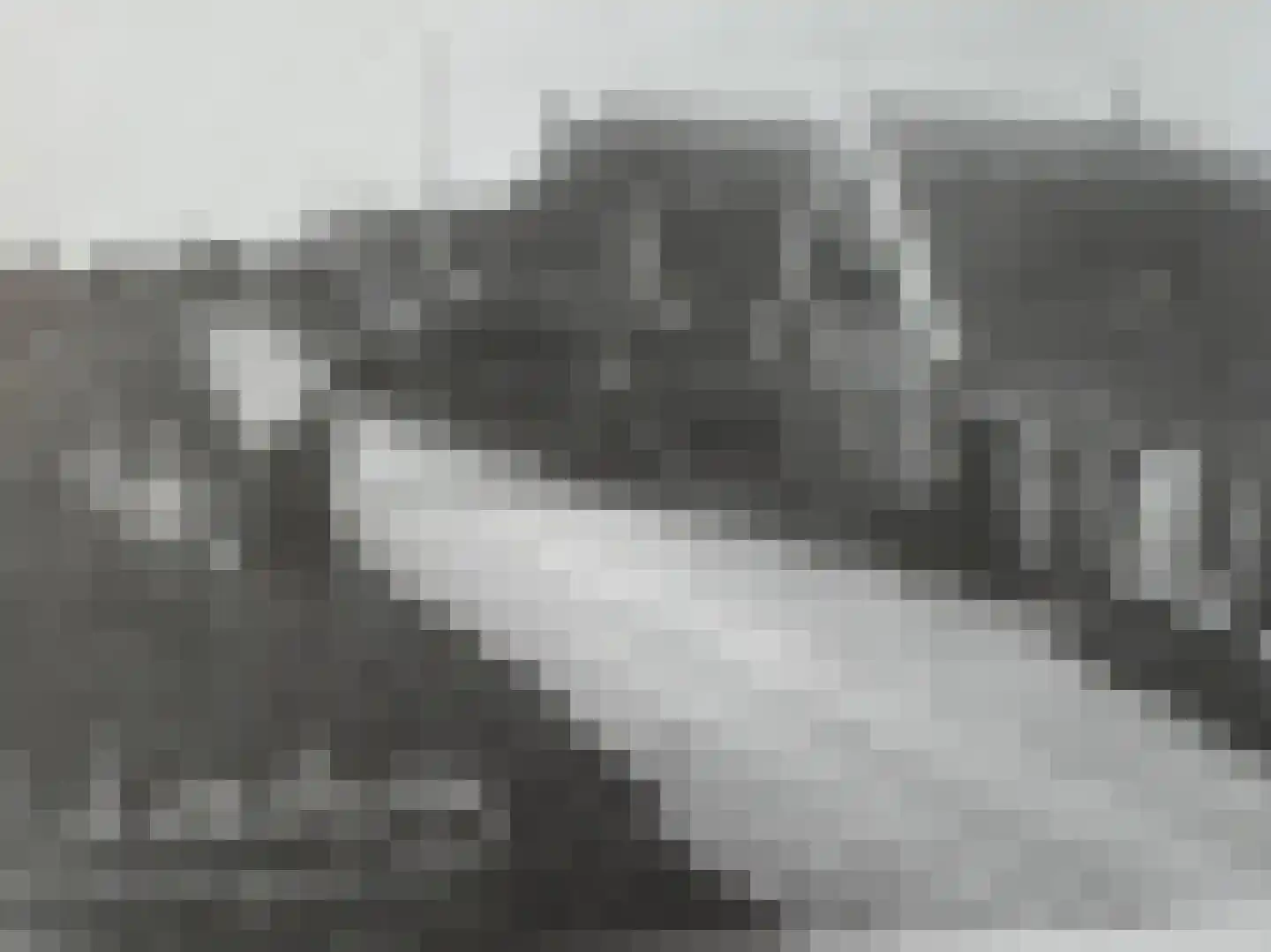 Schardam 24 Schardam thumbnail 27