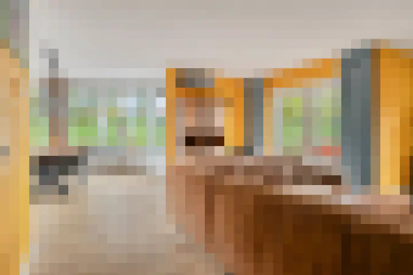 Schardelaan 12 Zuidland thumbnail 11