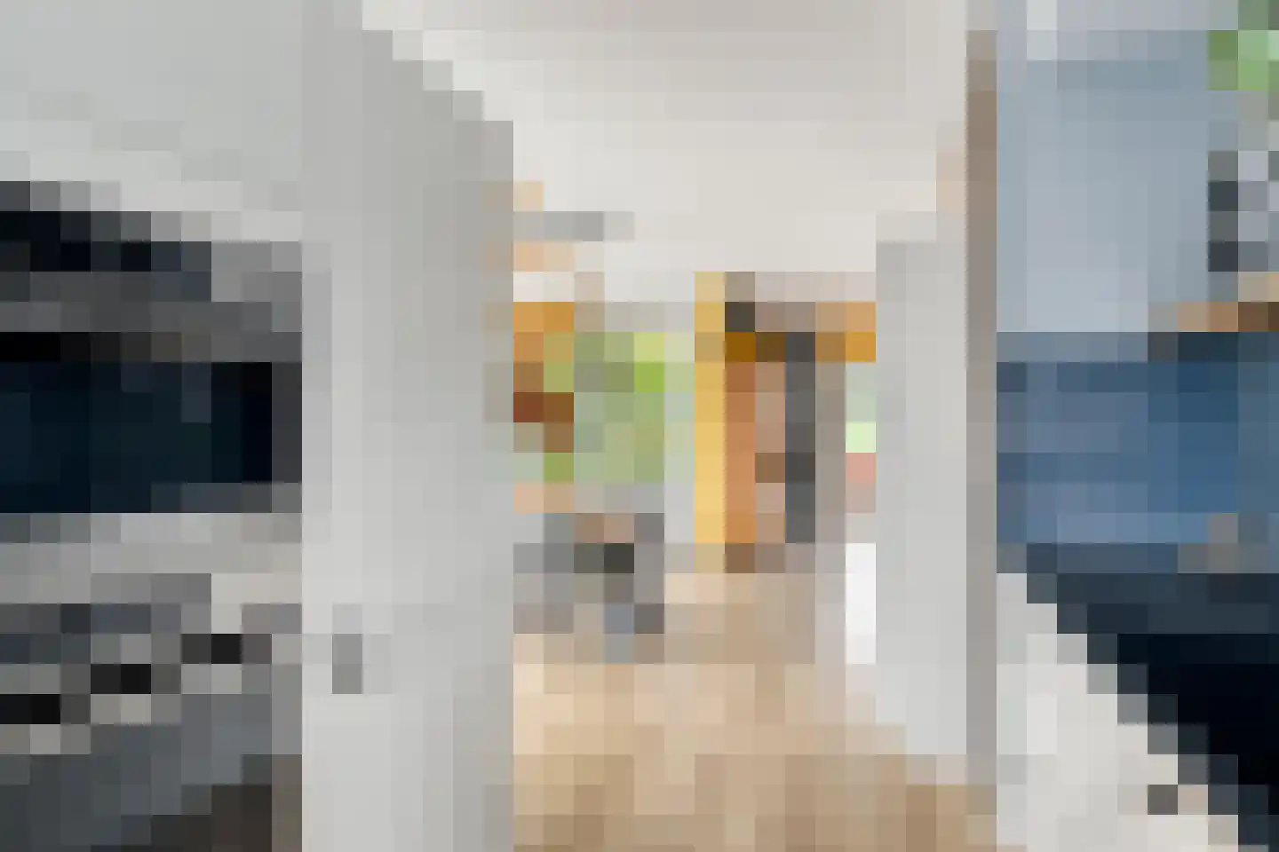 Schardelaan 12 Zuidland thumbnail 15