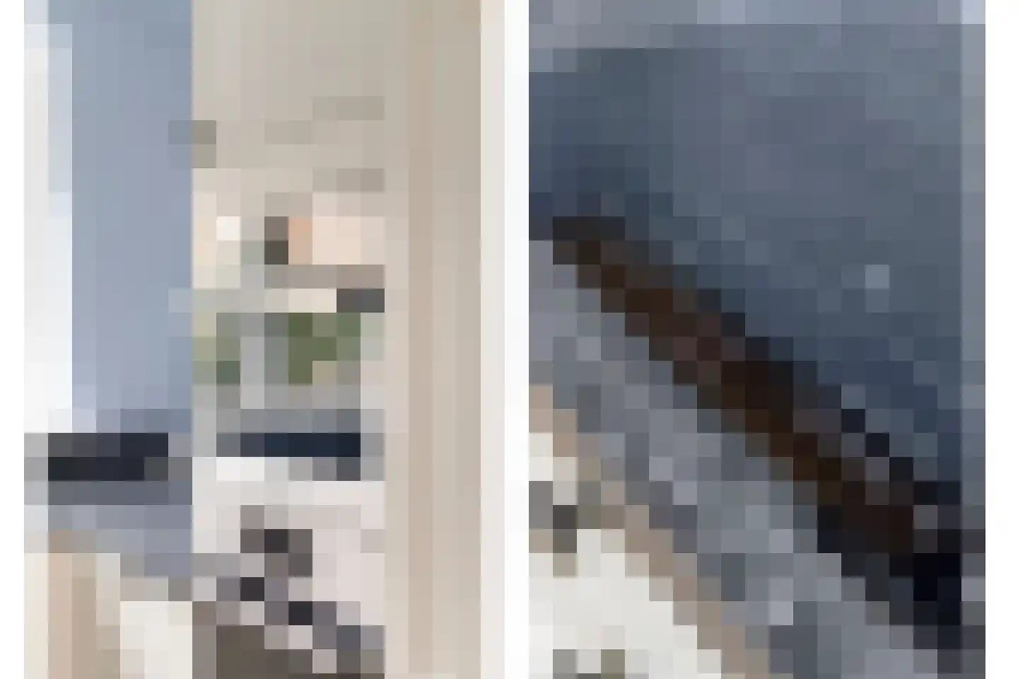 Schardelaan 12 Zuidland thumbnail 16