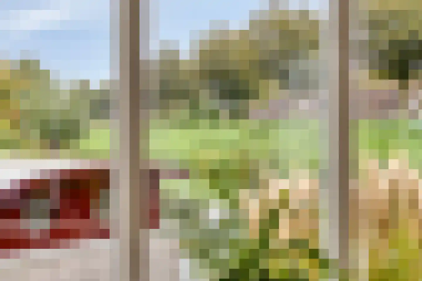 Schardelaan 12 Zuidland thumbnail 17