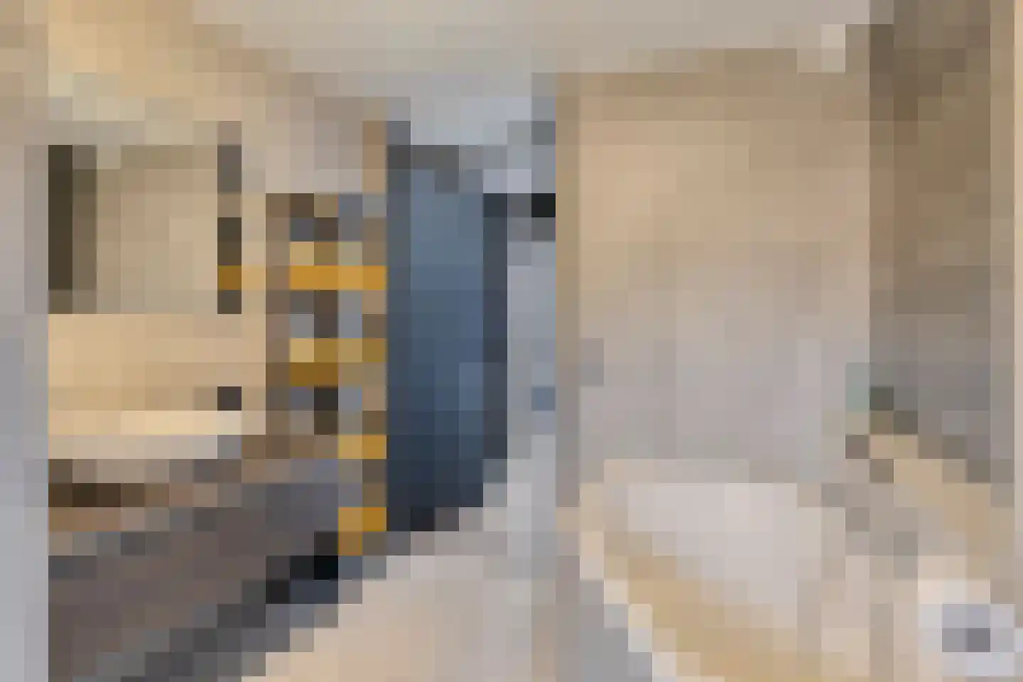 Schardelaan 12 Zuidland thumbnail 22