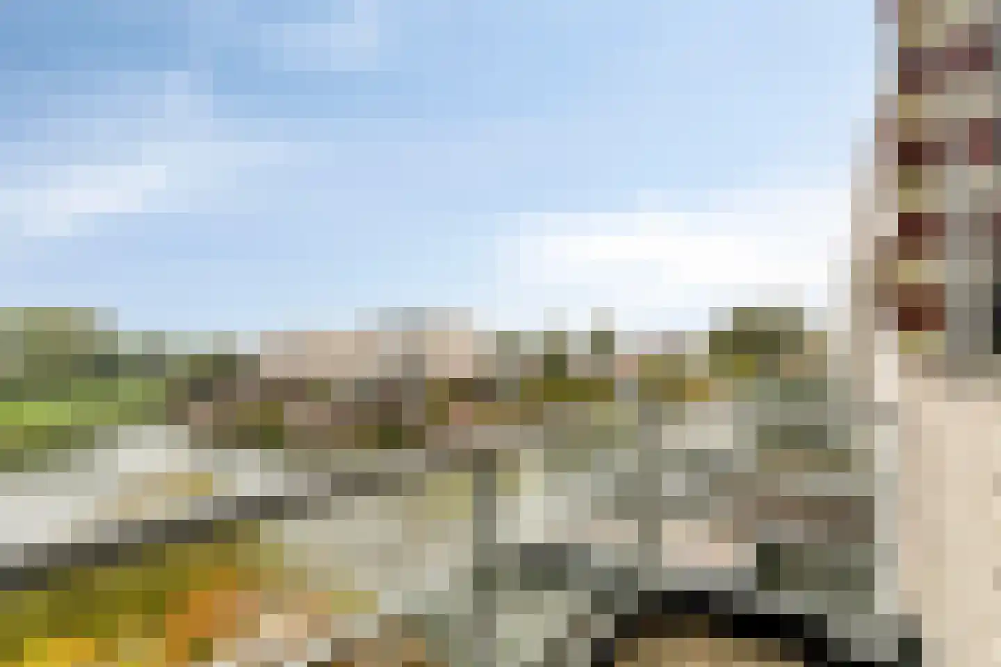 Schardelaan 12 Zuidland thumbnail 30