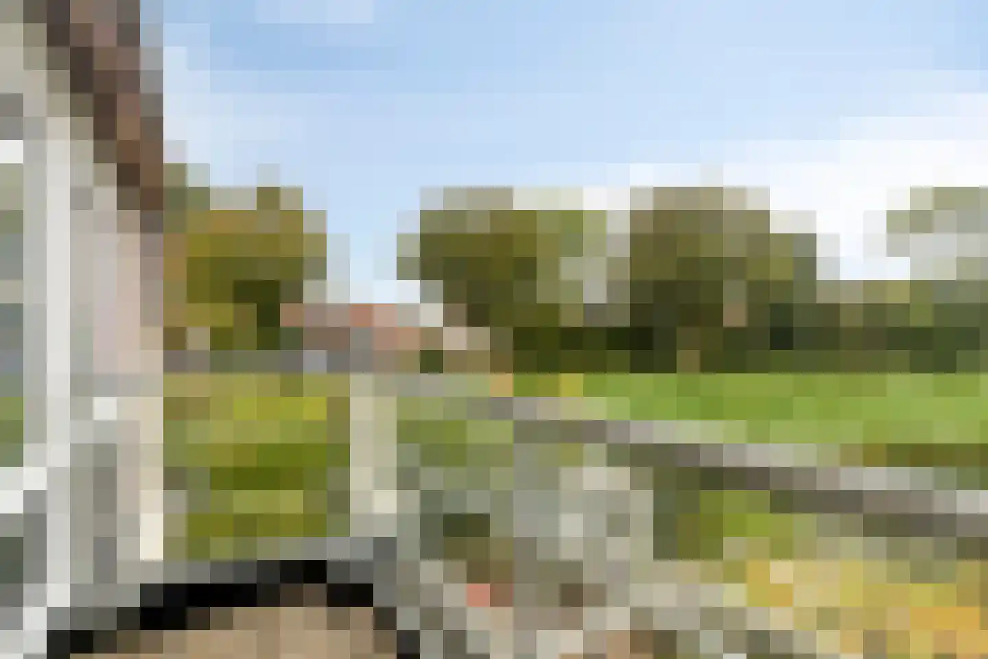 Schardelaan 12 Zuidland thumbnail 31