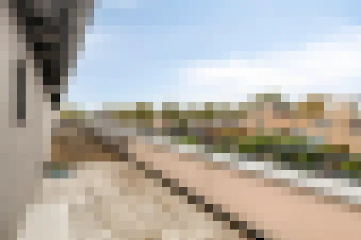 Schardelaan 12 Zuidland thumbnail 37