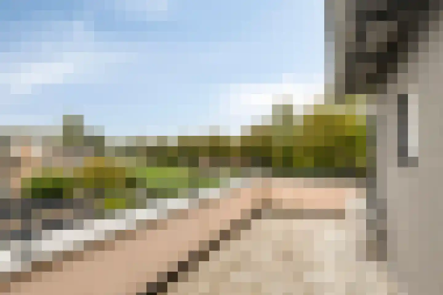 Schardelaan 12 Zuidland thumbnail 38