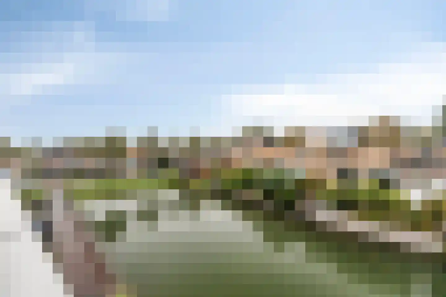 Schardelaan 12 Zuidland thumbnail 39