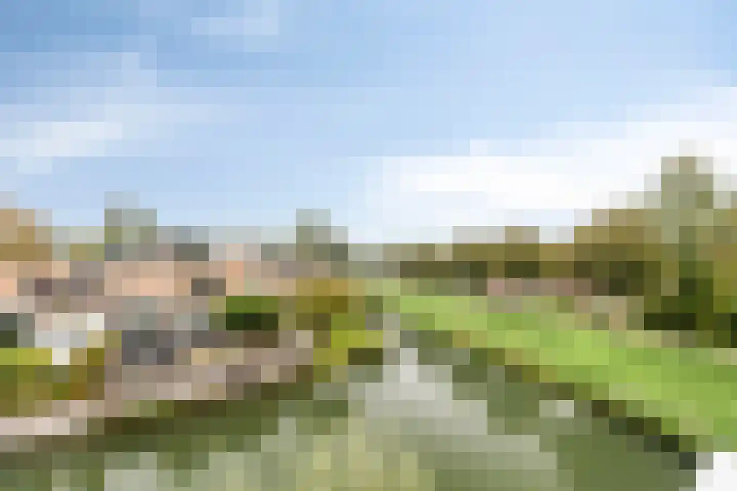 Schardelaan 12 Zuidland thumbnail 40