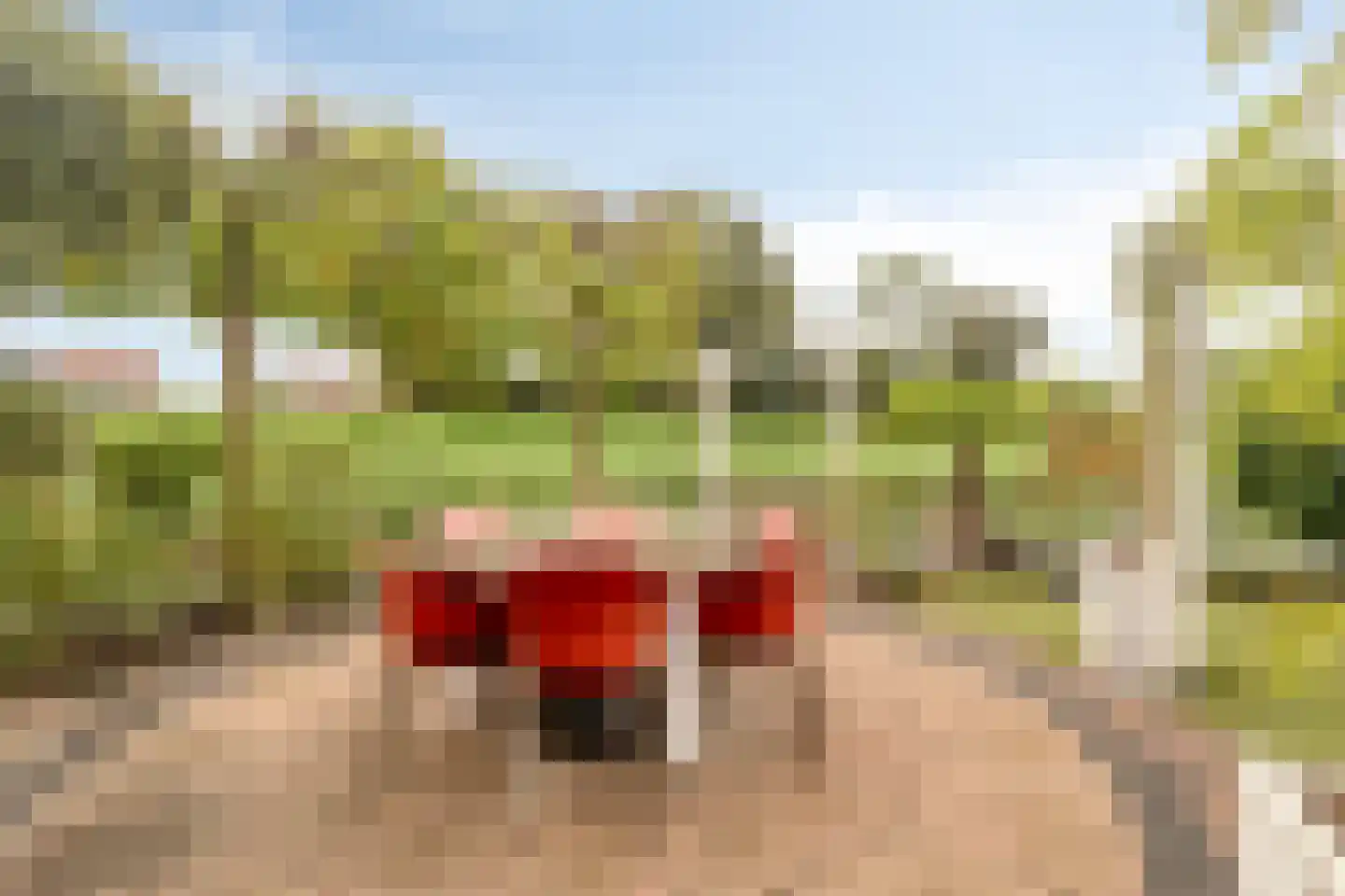 Schardelaan 12 Zuidland thumbnail 41