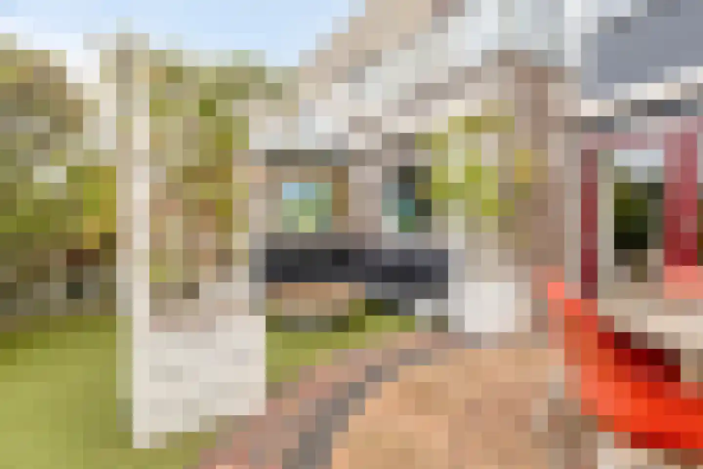 Schardelaan 12 Zuidland thumbnail 42