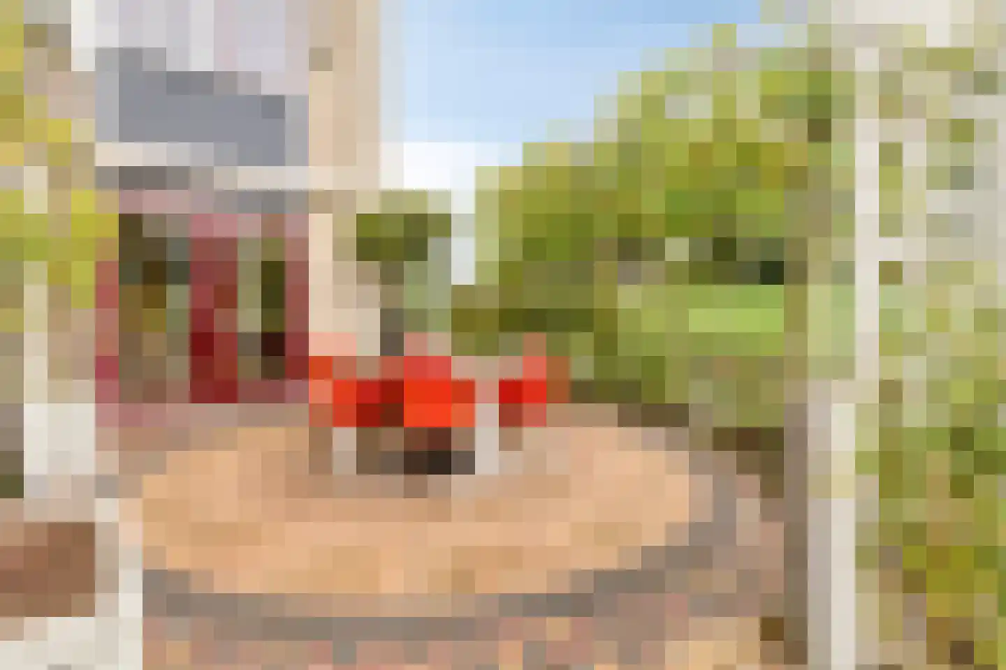 Schardelaan 12 Zuidland thumbnail 43