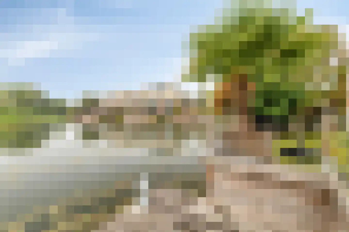 Schardelaan 12 Zuidland thumbnail 44