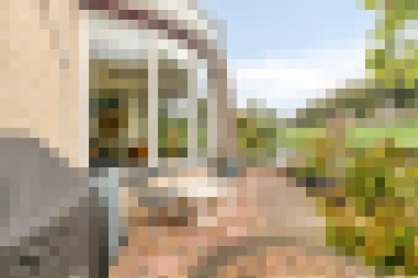 Schardelaan 12 Zuidland thumbnail 45
