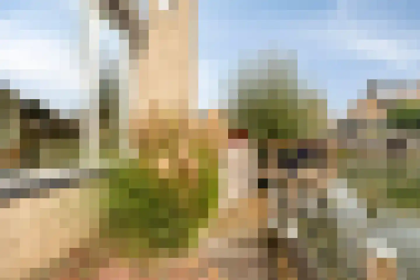 Schardelaan 12 Zuidland thumbnail 46