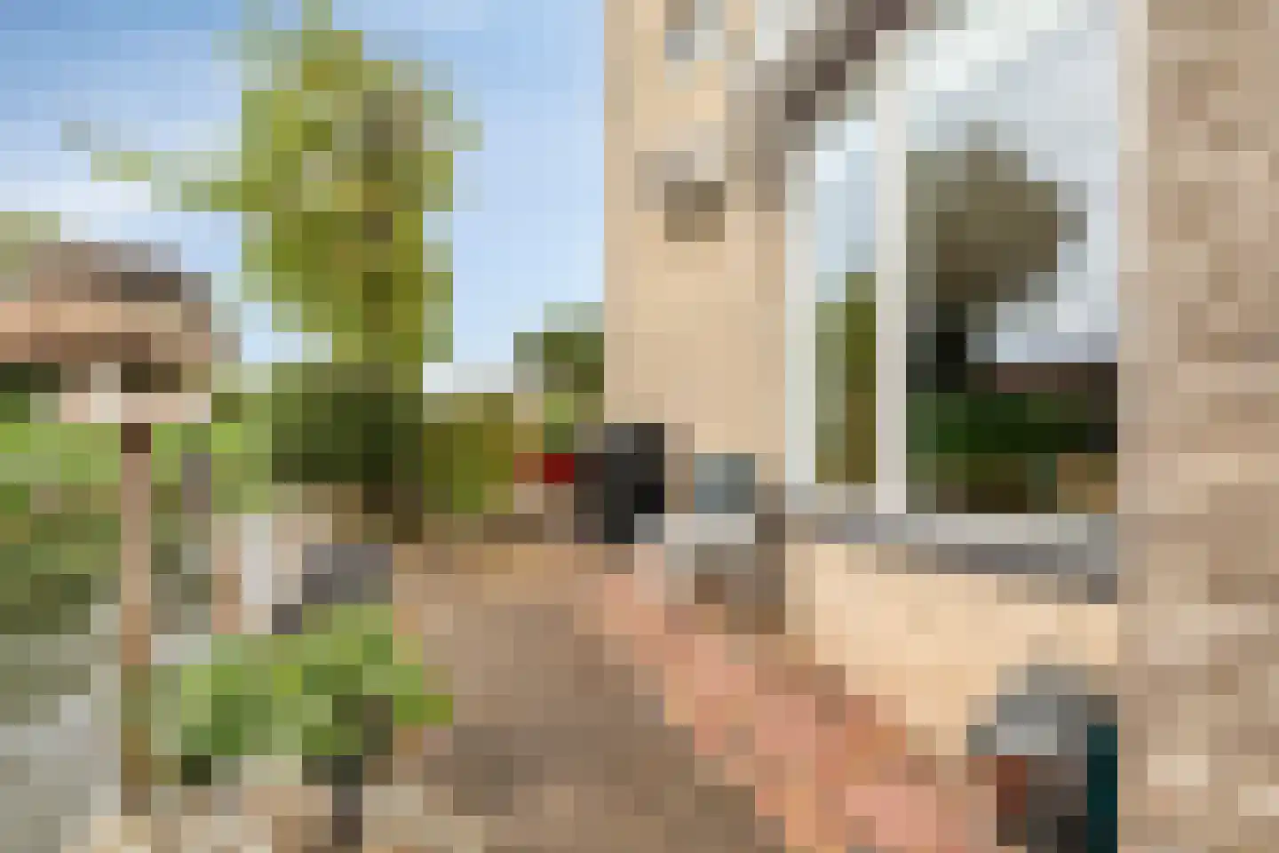 Schardelaan 12 Zuidland thumbnail 47