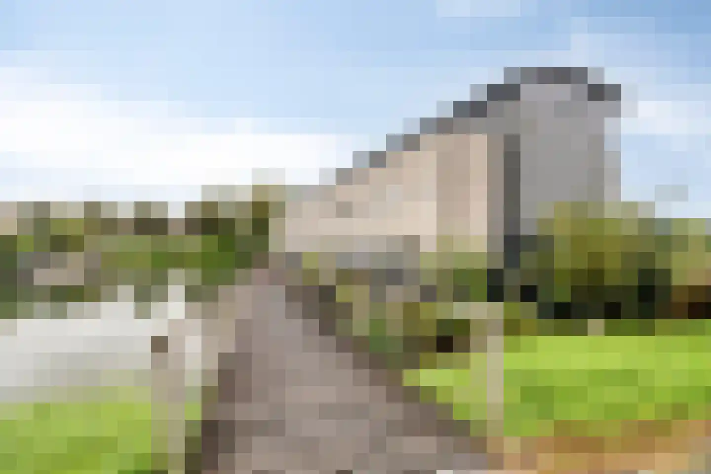 Schardelaan 12 Zuidland thumbnail 48