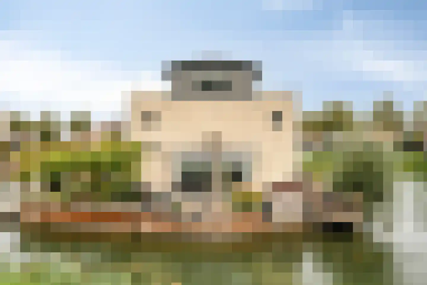 Schardelaan 12 Zuidland thumbnail 49