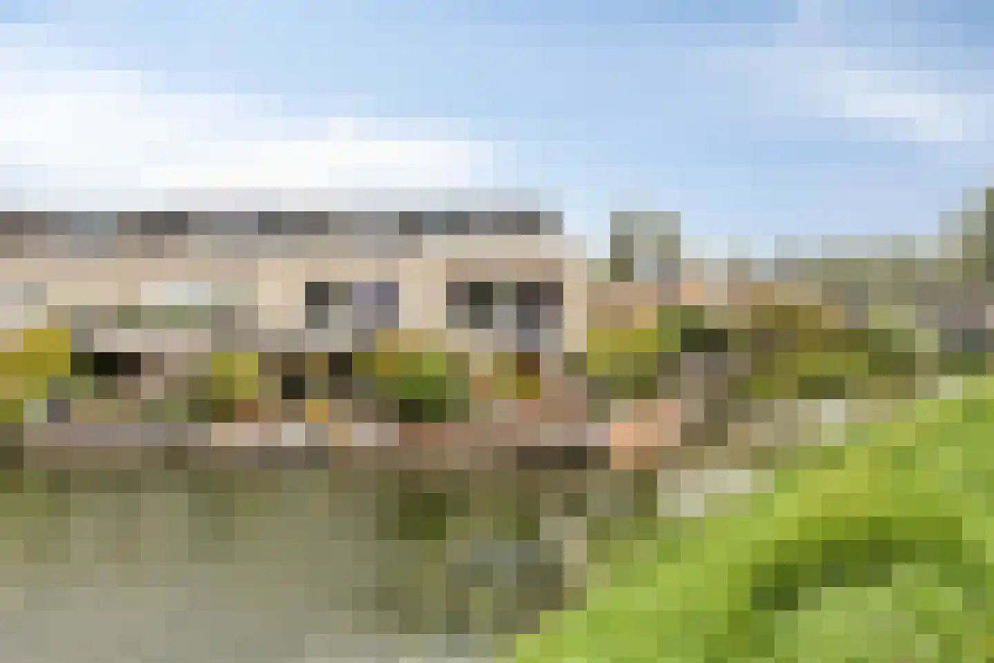 Schardelaan 12 Zuidland thumbnail 50
