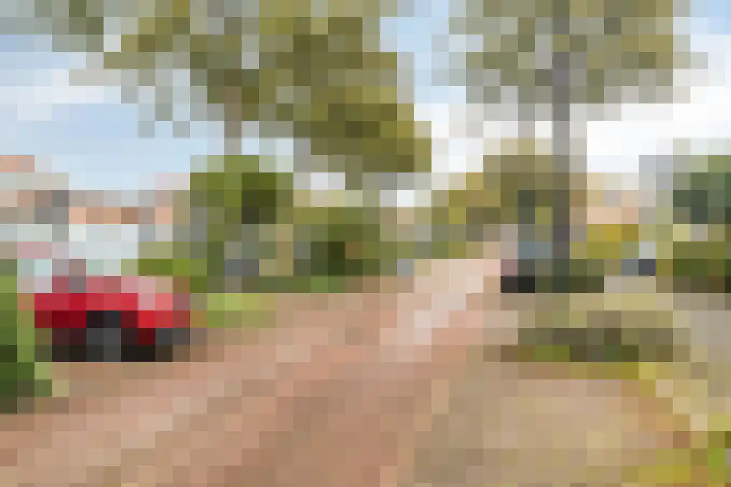 Schardelaan 12 Zuidland thumbnail 51