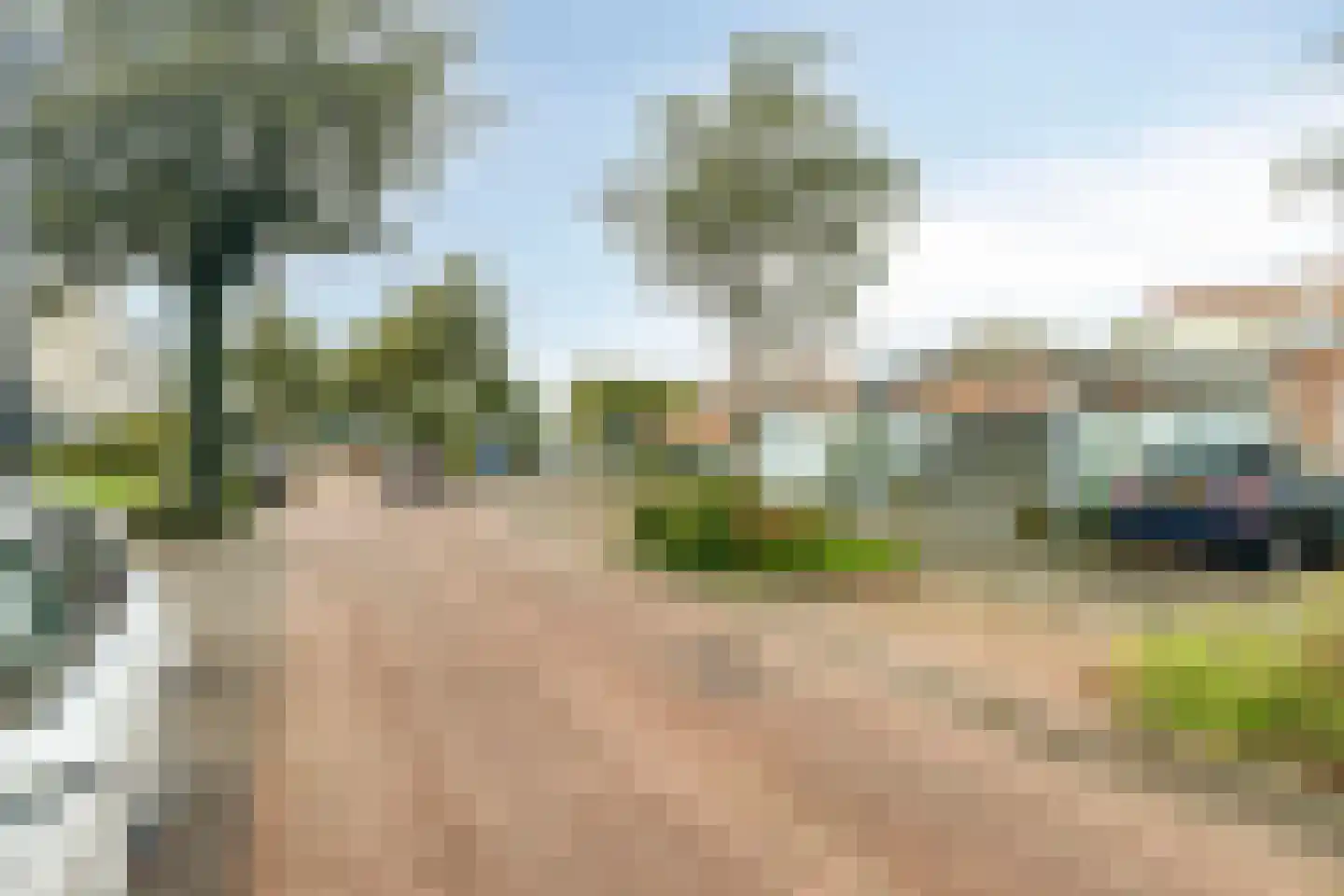 Schardelaan 12 Zuidland thumbnail 52