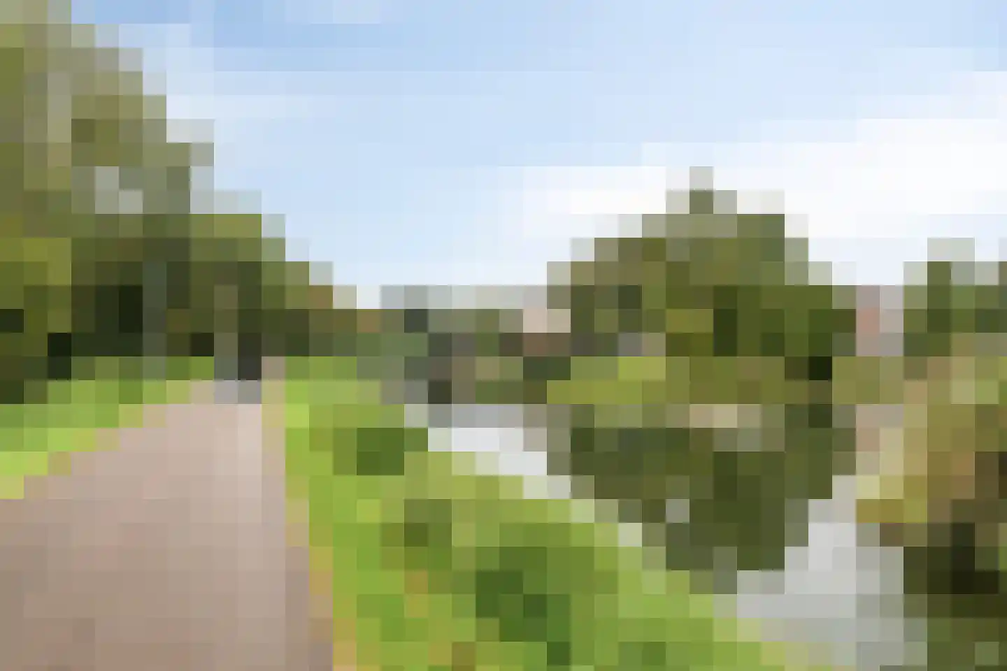 Schardelaan 12 Zuidland thumbnail 54