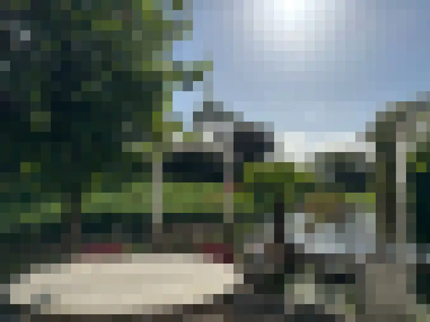 Schardelaan 12 Zuidland thumbnail 55