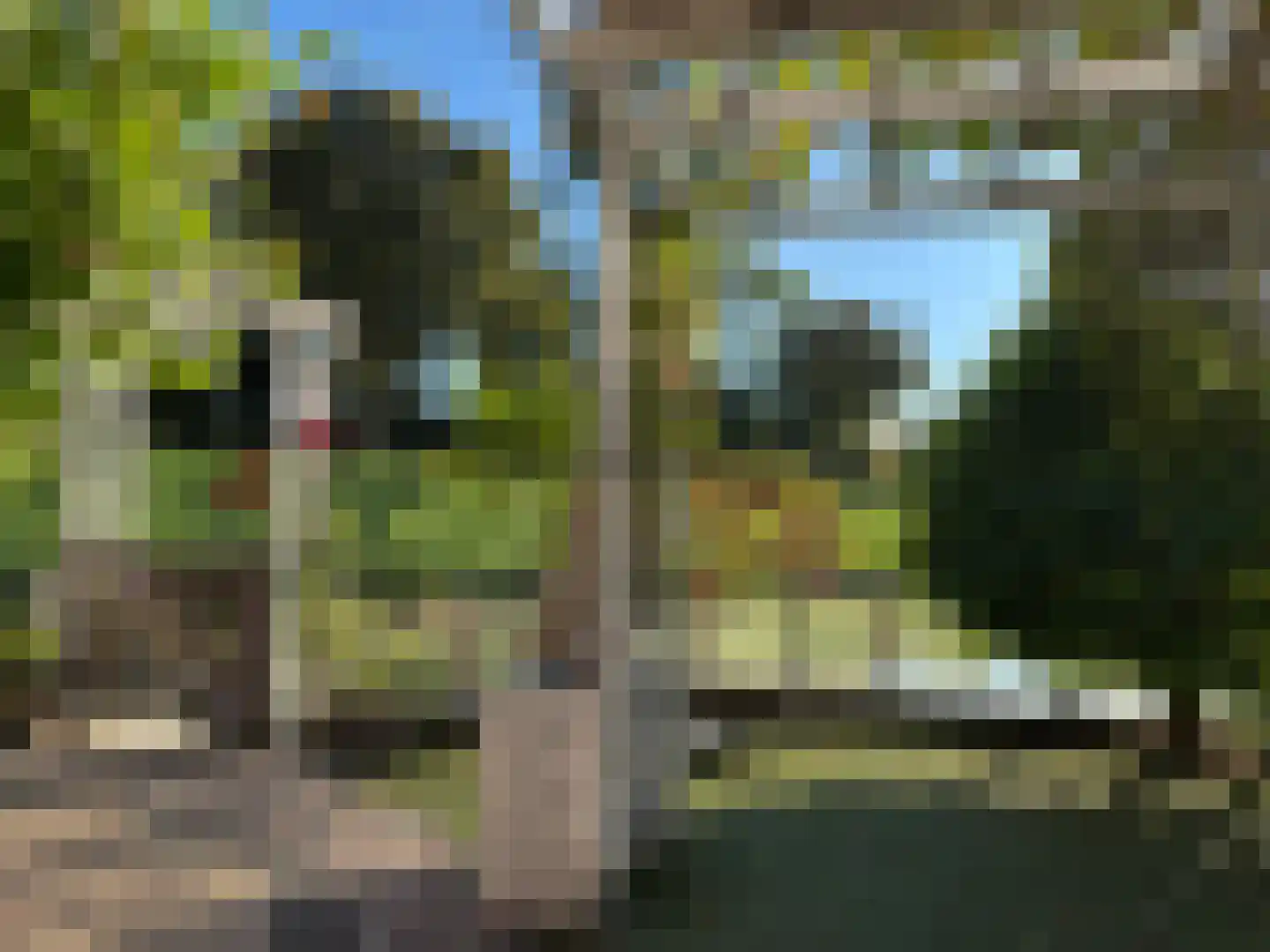 Schardelaan 12 Zuidland thumbnail 56