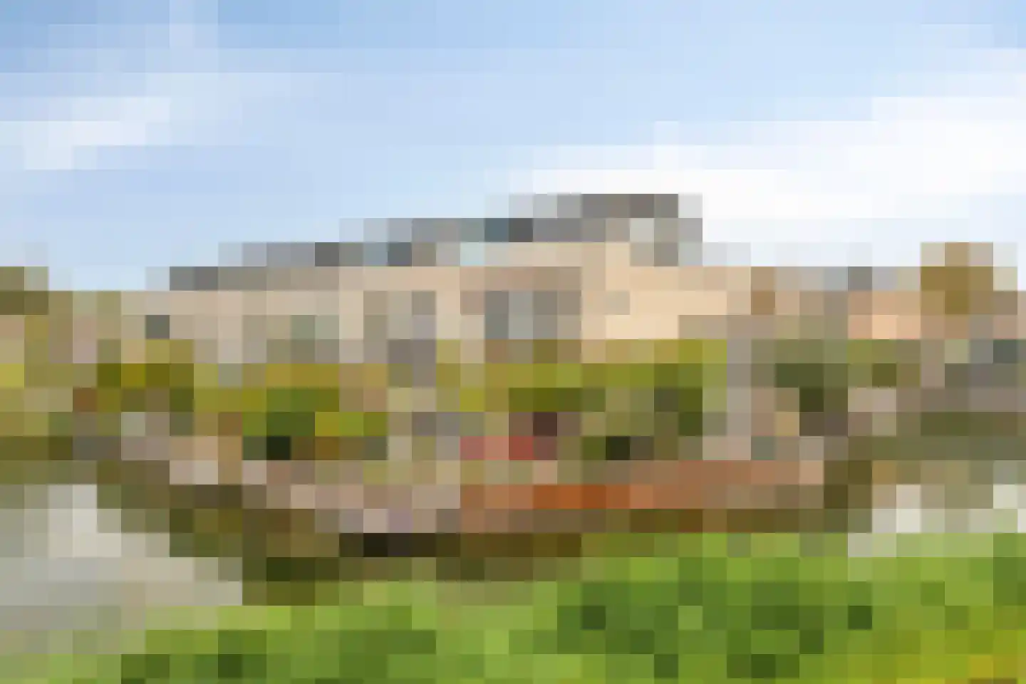 Schardelaan 12 Zuidland thumbnail 57
