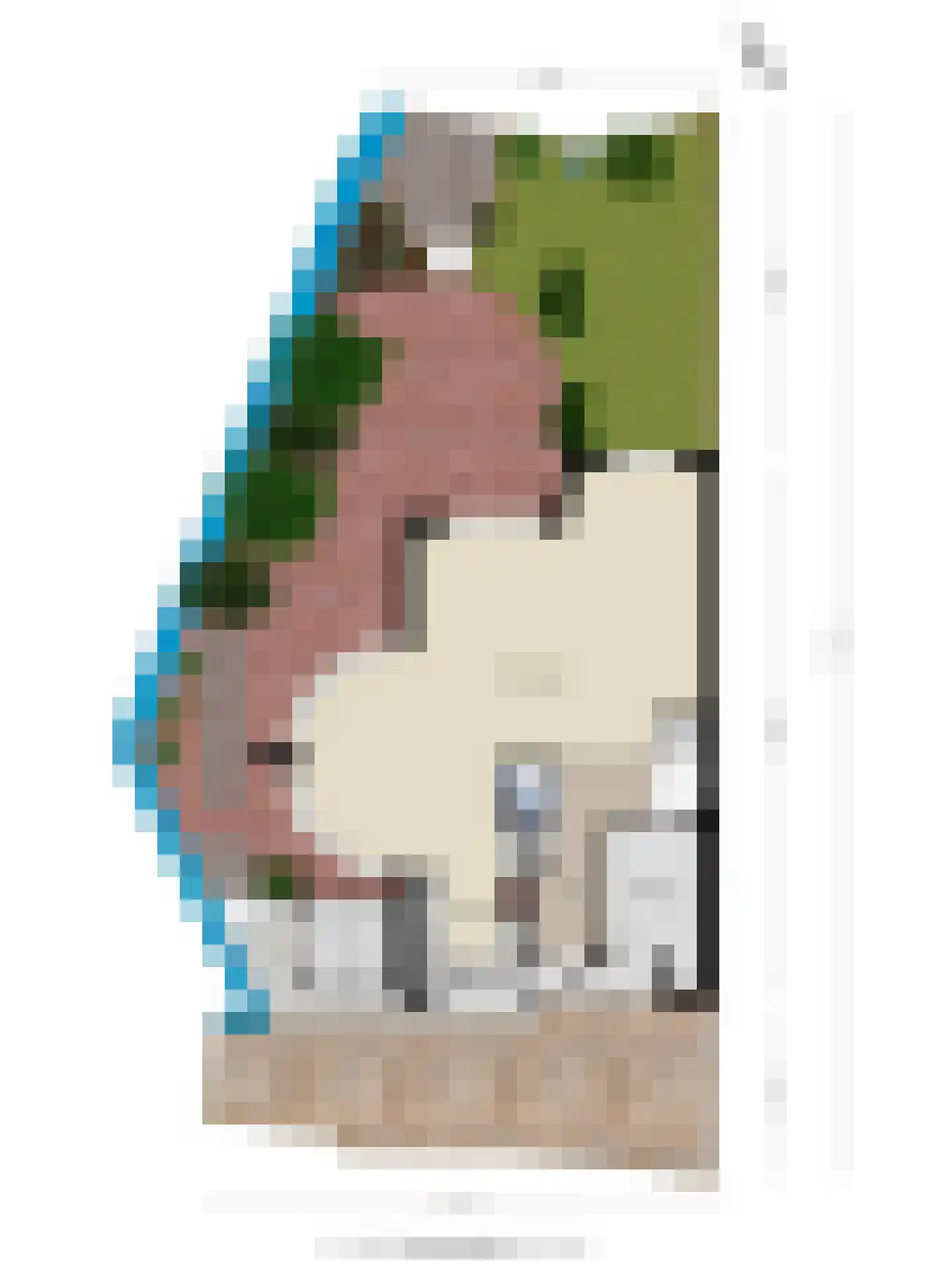 Schardelaan 12 Zuidland thumbnail 59