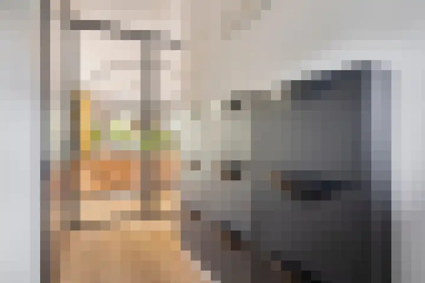 Schardelaan 12 Zuidland thumbnail 9