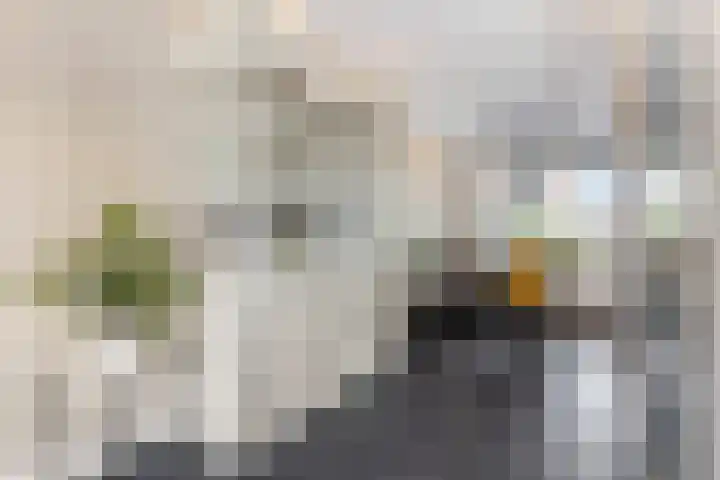 Scharenburg 33 Zoelen thumbnail 10