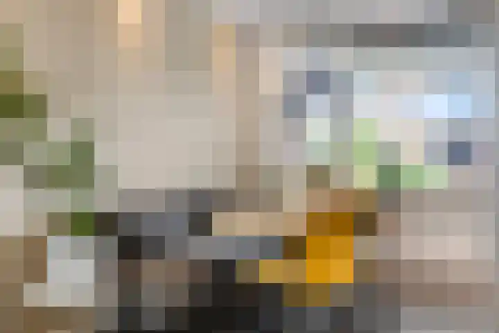 Scharenburg 33 Zoelen thumbnail 11