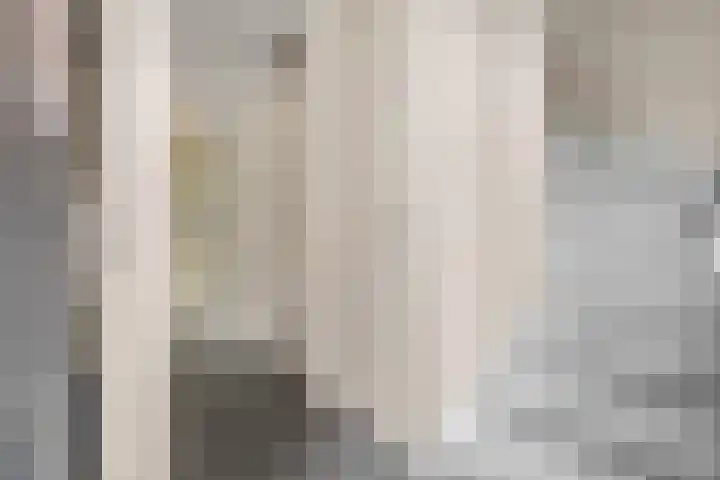 Scharenburg 33 Zoelen thumbnail 18