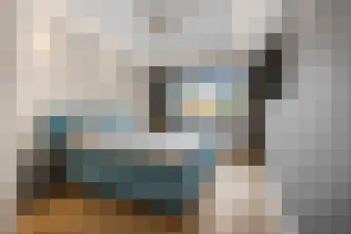 Scharenburg 33 Zoelen thumbnail 21