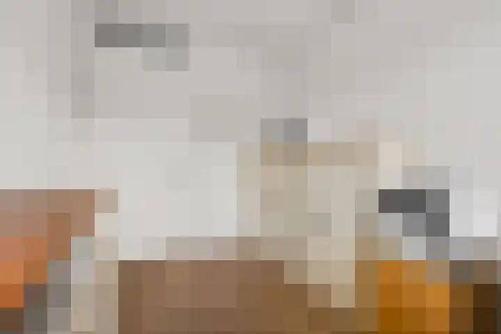 Scharenburg 33 Zoelen thumbnail 34