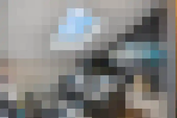 Scharenburg 33 Zoelen thumbnail 37