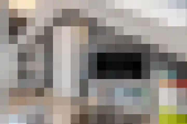 Scharenburg 33 Zoelen thumbnail 38