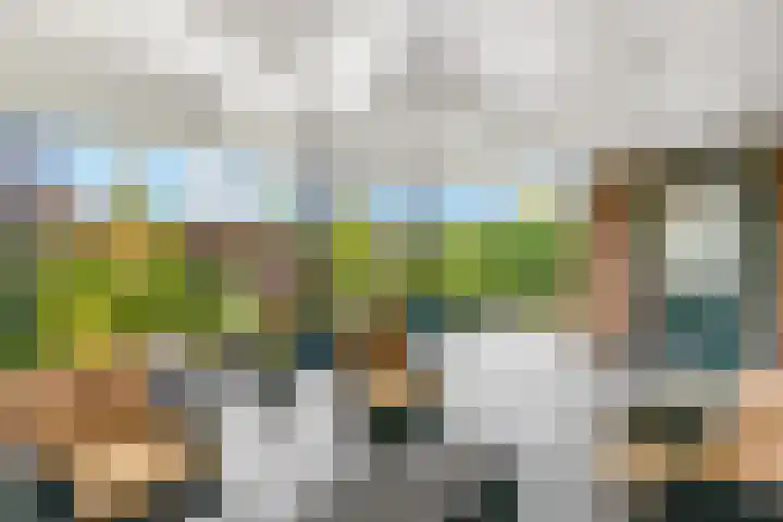 Scharenburg 33 Zoelen thumbnail 4