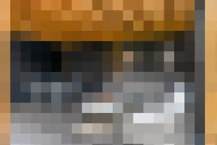 Scharenburg 33 Zoelen thumbnail 45